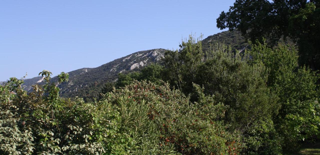 Robion en Luberon Hestia Bed & Breakfast エクステリア 写真